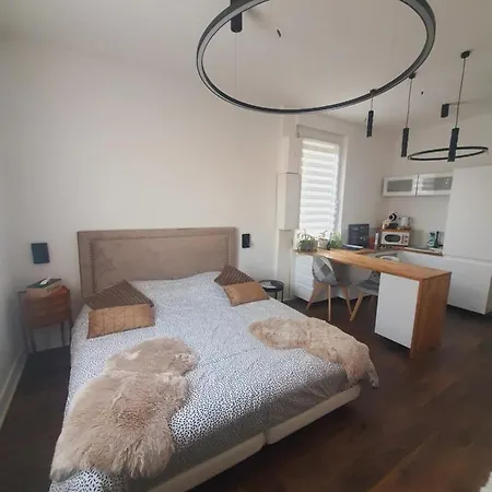 Stephanois & Parking Apartment