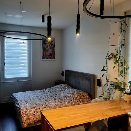Apartment Stephanois & Parking
