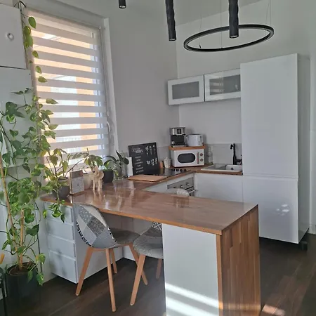 Stephanois & Parking Apartment Saint-Etienne (Loire)