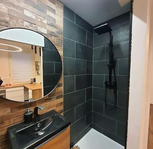 Stephanois & Parking Apartament