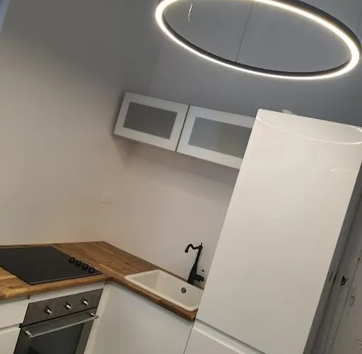 Stephanois & Parking Apartament