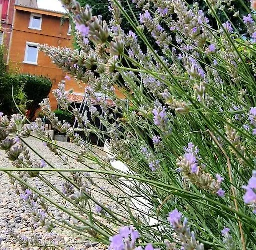 Apartament Stephanois & Parking *