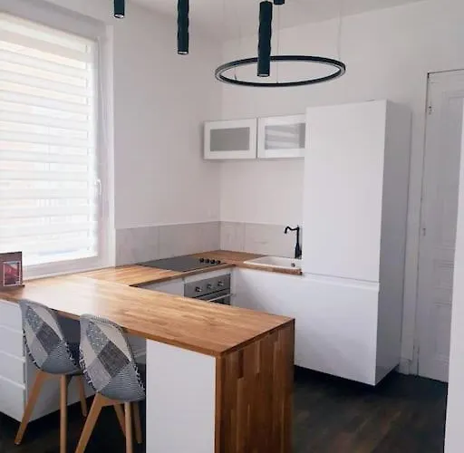 Stephanois & Parking Apartament *