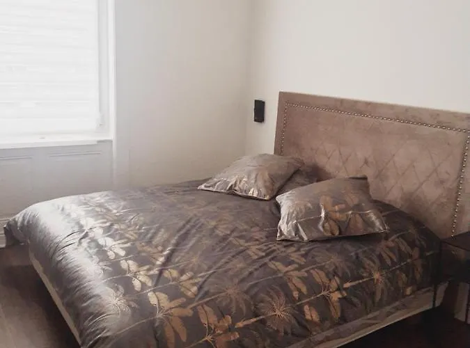 Stephanois & Parking Apartament Saint-Etienne (Loire)