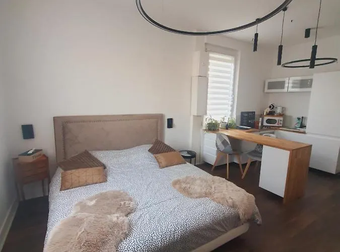 Stephanois & Parking Apartament