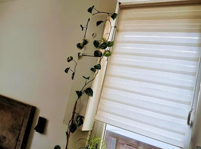 Stephanois & Parking Apartament Saint-Etienne (Loire)