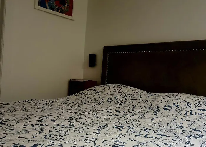 Apartament Stephanois & Parking