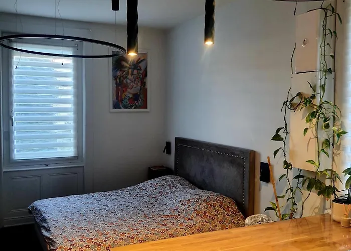 Apartament Stephanois & Parking
