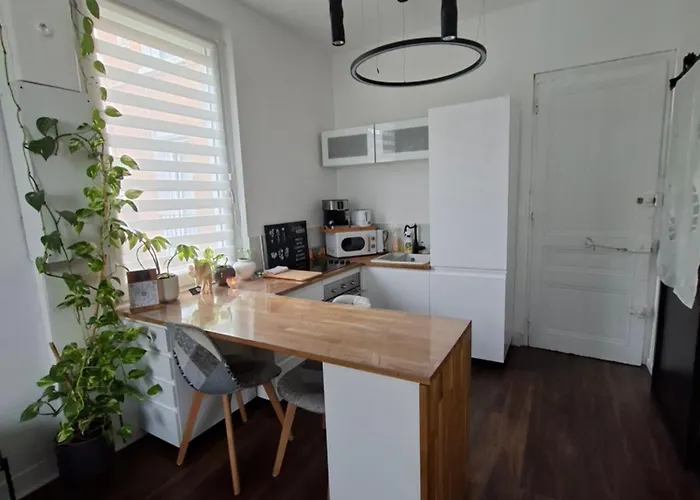 Apartament Stephanois & Parking *